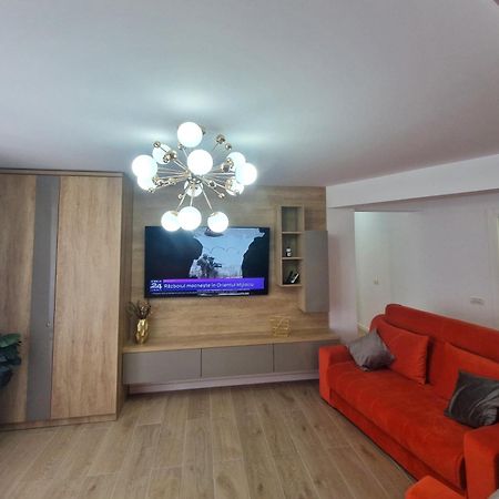 Ultracentral Luxury Apartament Curtea de Argeş エクステリア 写真